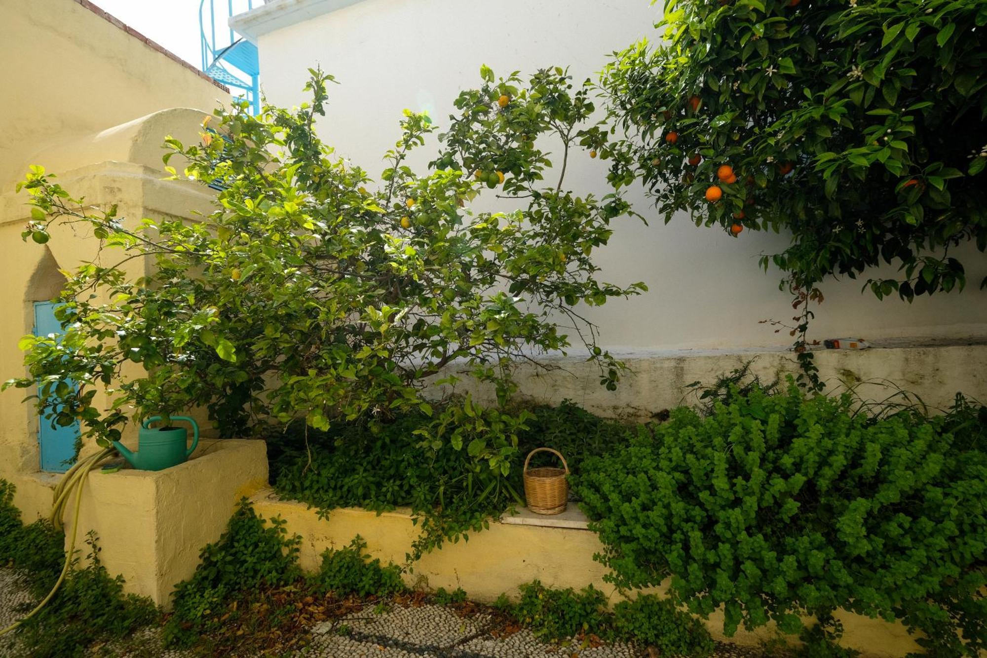 Archontiko Pataka Apartamento Rhodes City Exterior foto